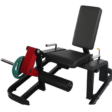 extension de piernas con discos 