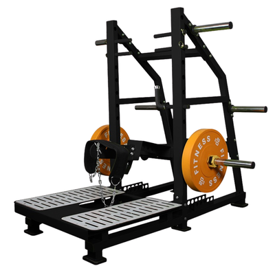 Belt squat