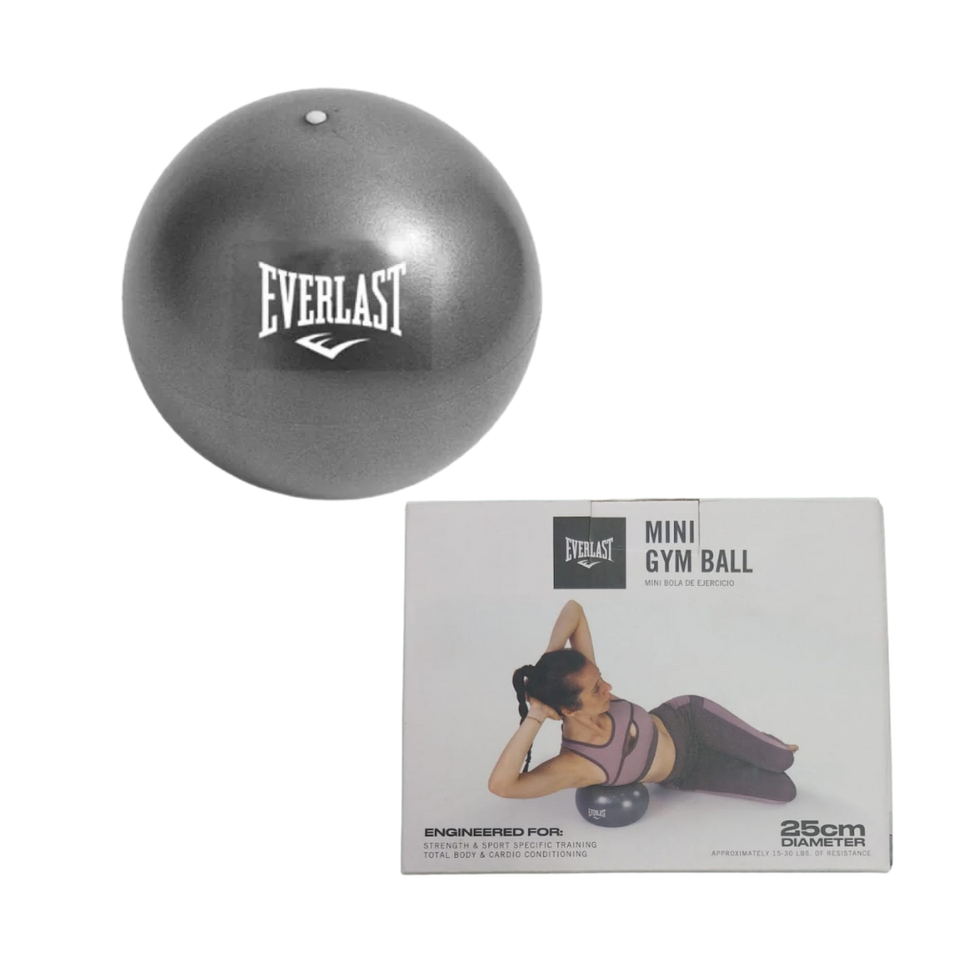 mini_gym_ball_25cm_everlast_mma_equipamientos_costa_rica
