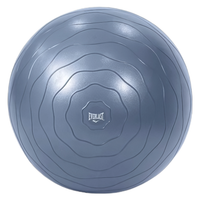 Gym Ball EverLast / 65 cm