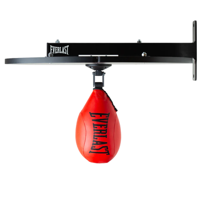 Speed bag kit everlast