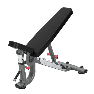 Banca Ajustable Insight Fitness DR034