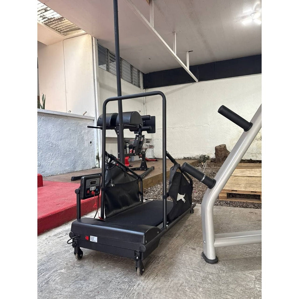caminadora_para_perros_sole_foto_real_mma_equipamientos_costa_rica
