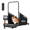 caminadora_para_perros_sole_mma_equipamientos_costa_rica